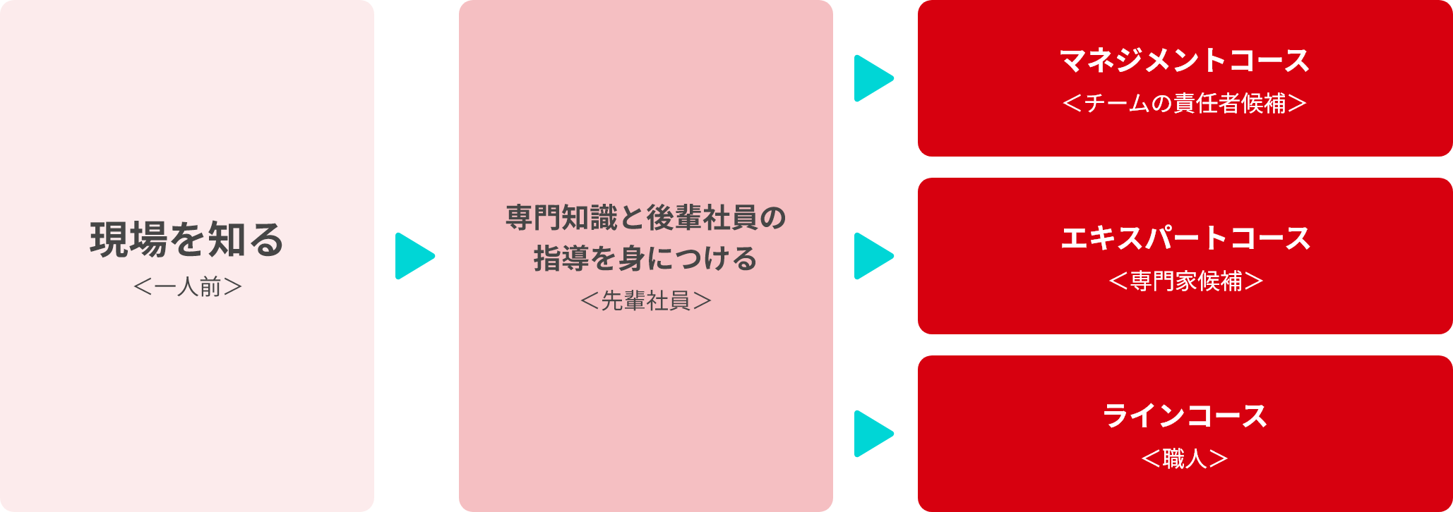 人材育成