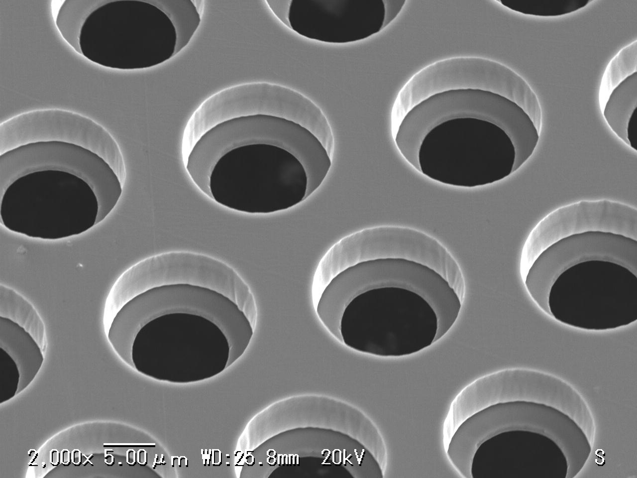 NiΦ10um backside　SEM