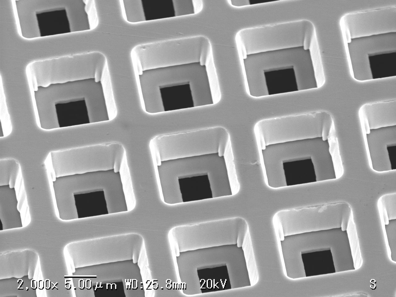 NiΦ5um 里面　SEM